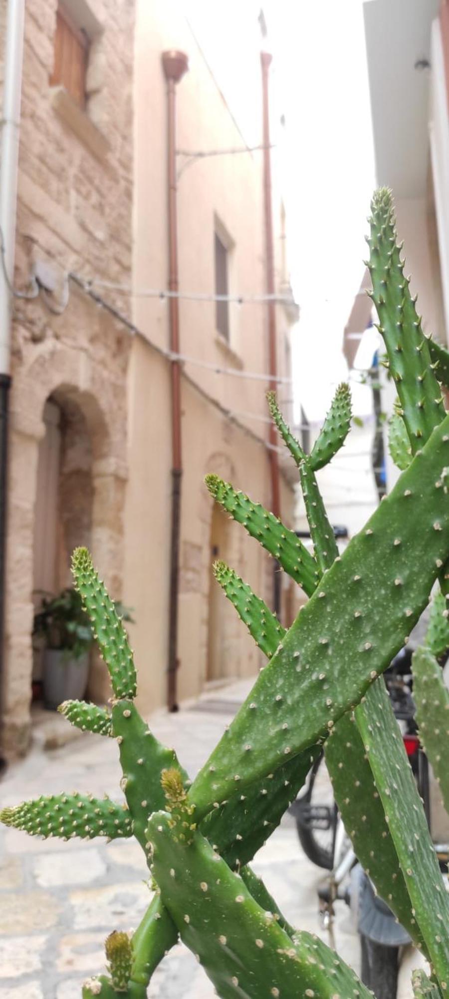 La Follia Dell'Architetto Villa Бари Екстериор снимка